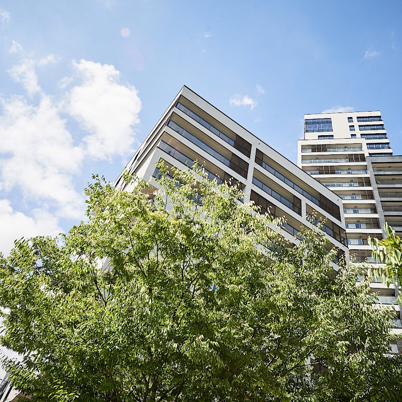 Belview - Lighthouse